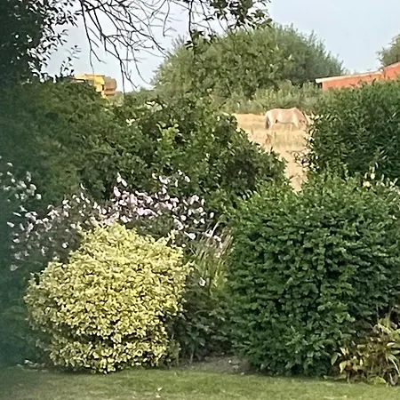 Kragh Bed & Breakfast